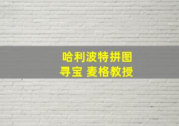 哈利波特拼图寻宝 麦格教授